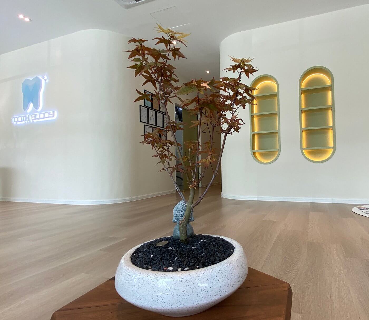 Clinic Interior Design